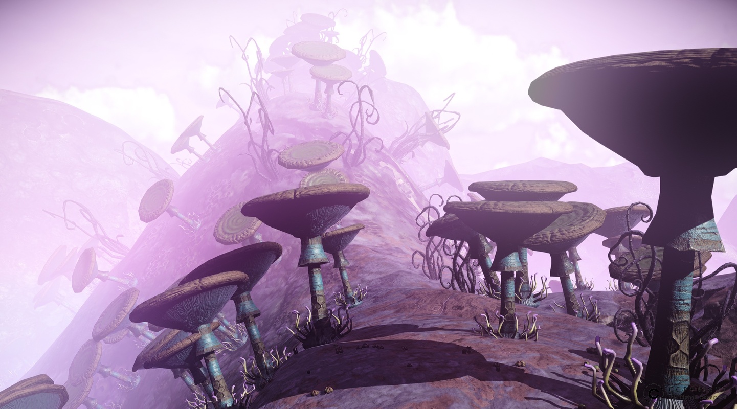 NMS Michedg-XVII 0008