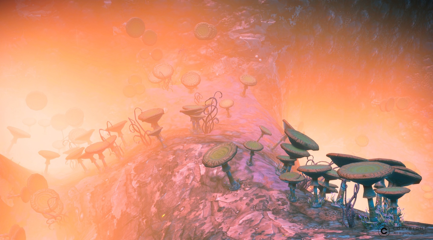 NMS Michedg-XVII 0014