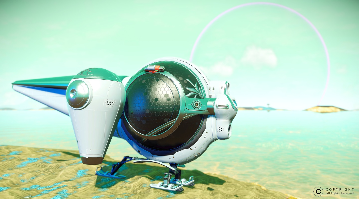 NMS misc 0001