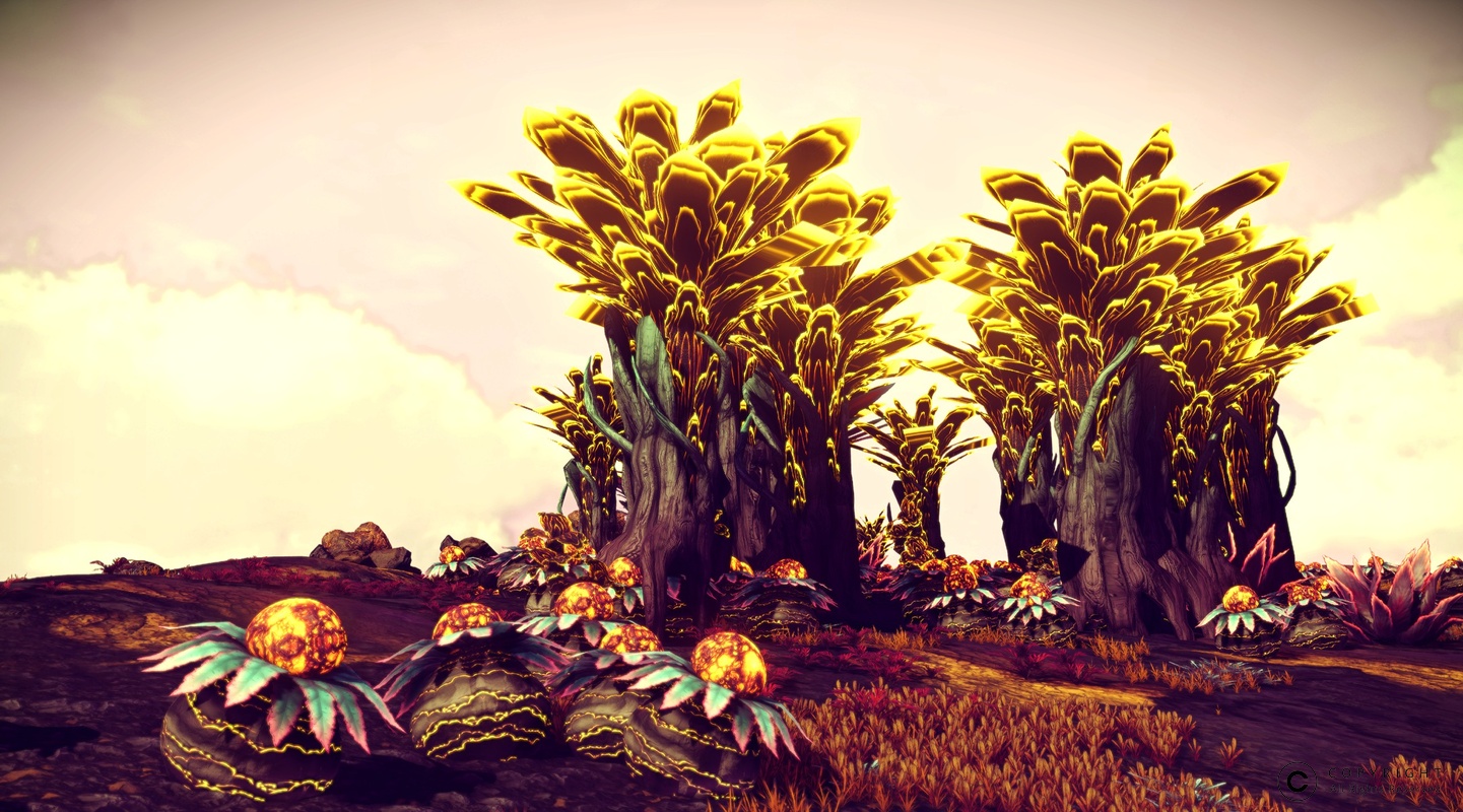 NMS Spilsea-Prime 0004