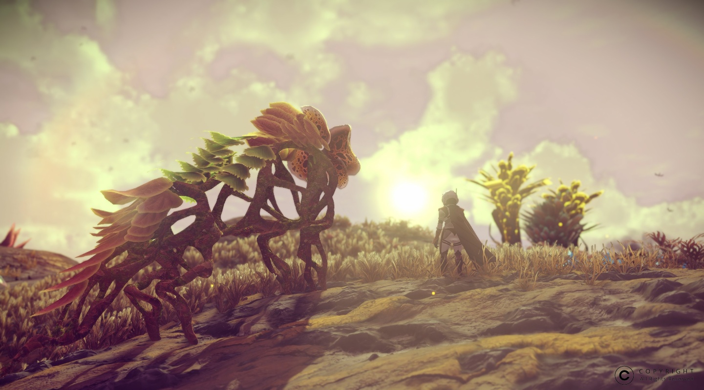 NMS Spilsea-Prime 0012