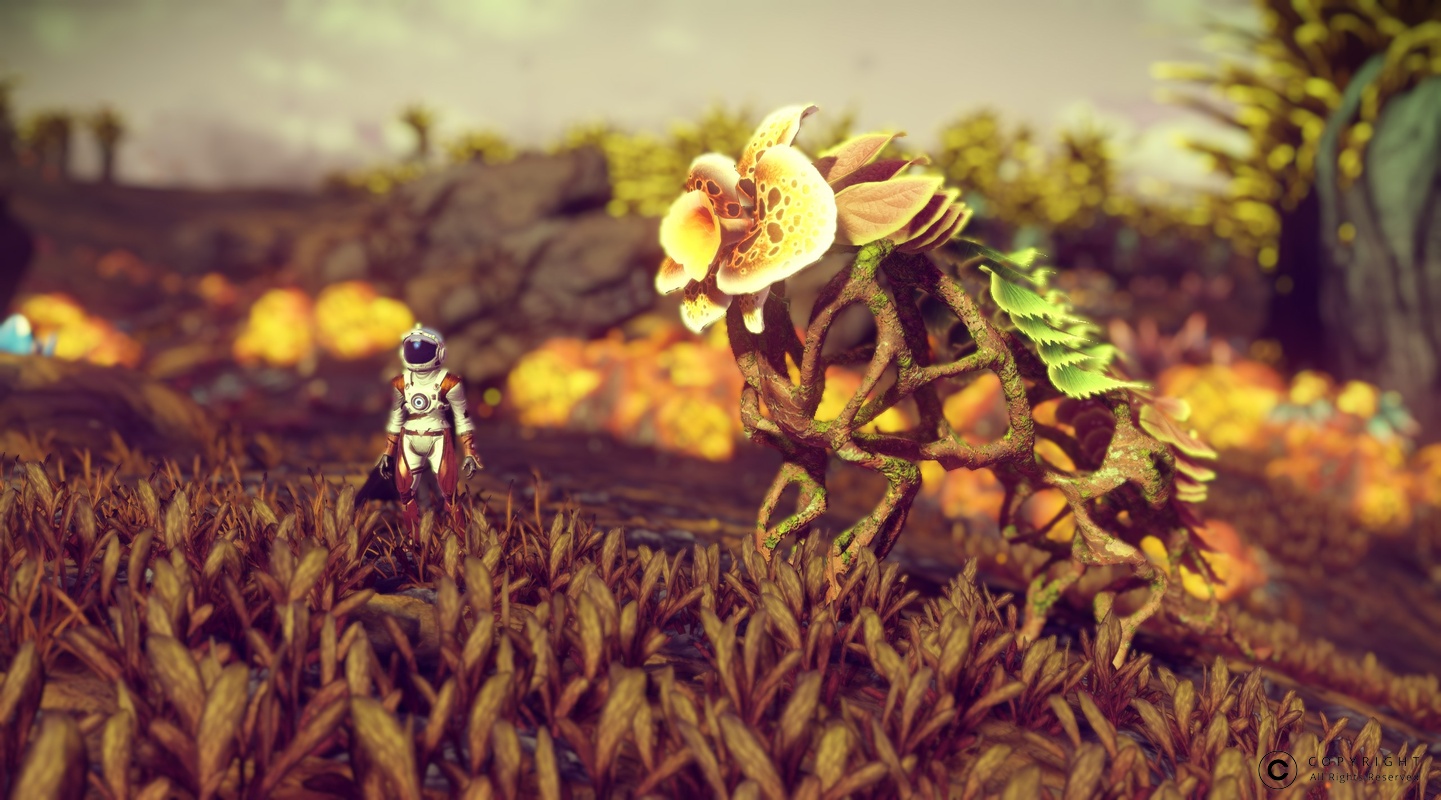 NMS Spilsea-Prime 0013