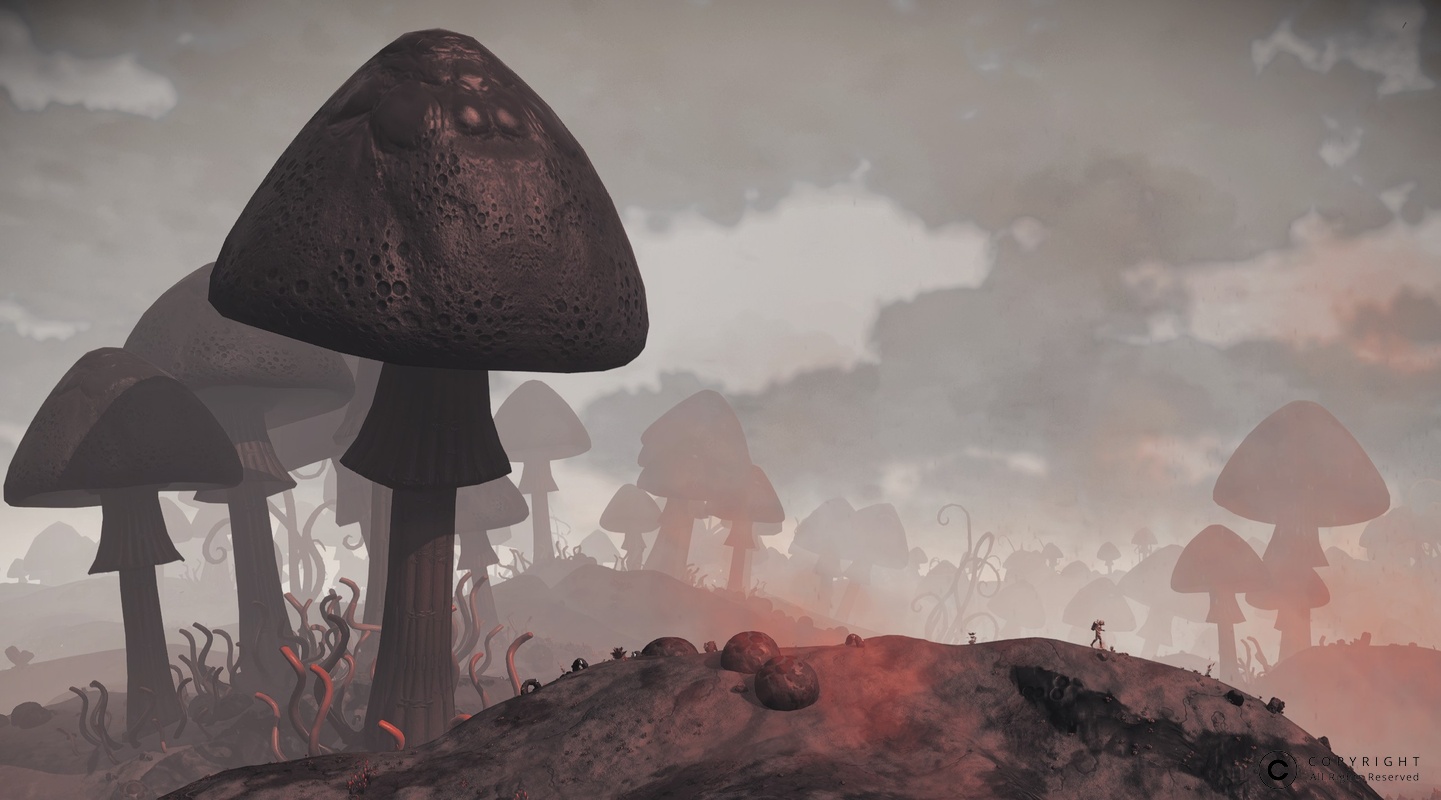 NMS Tophe 0006