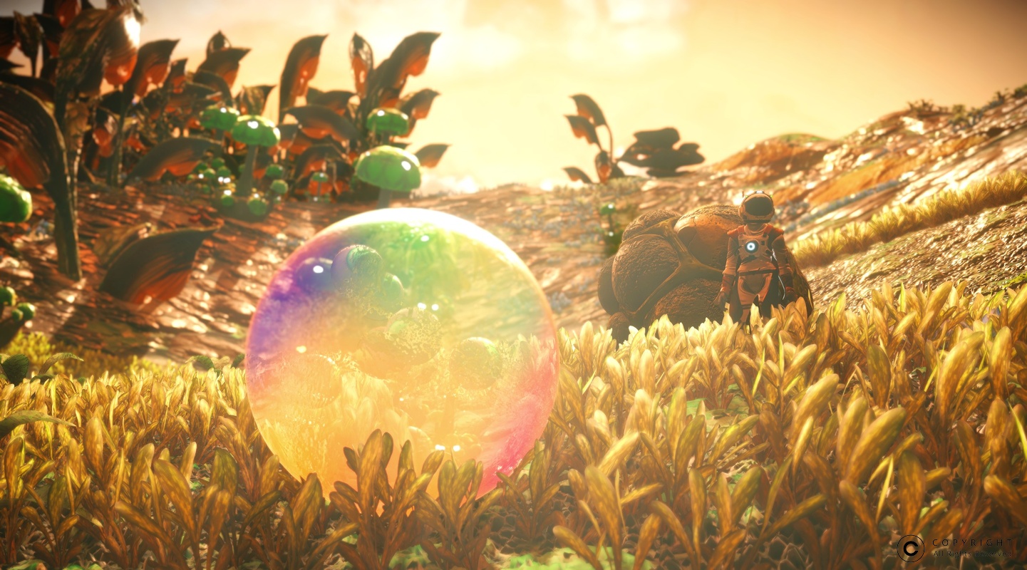 NMS Eont 002