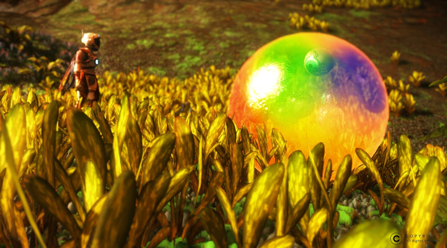 NMS Eont 003