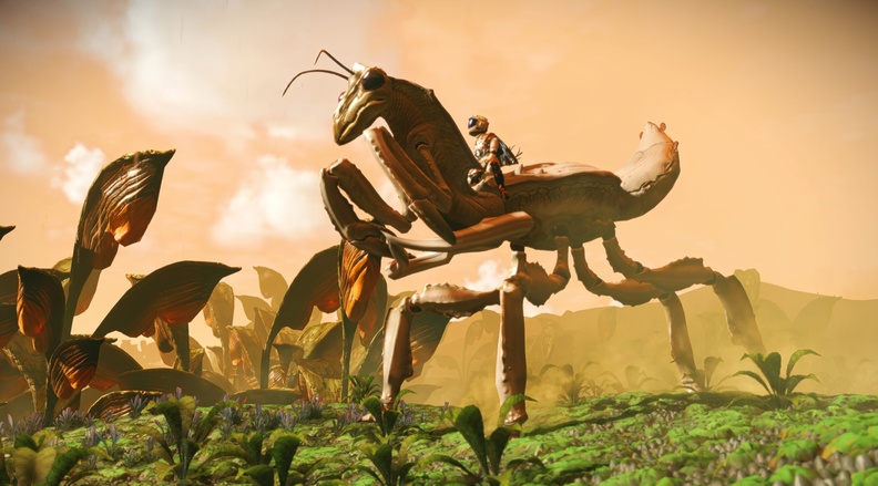 NMS_Eont_005.jpg