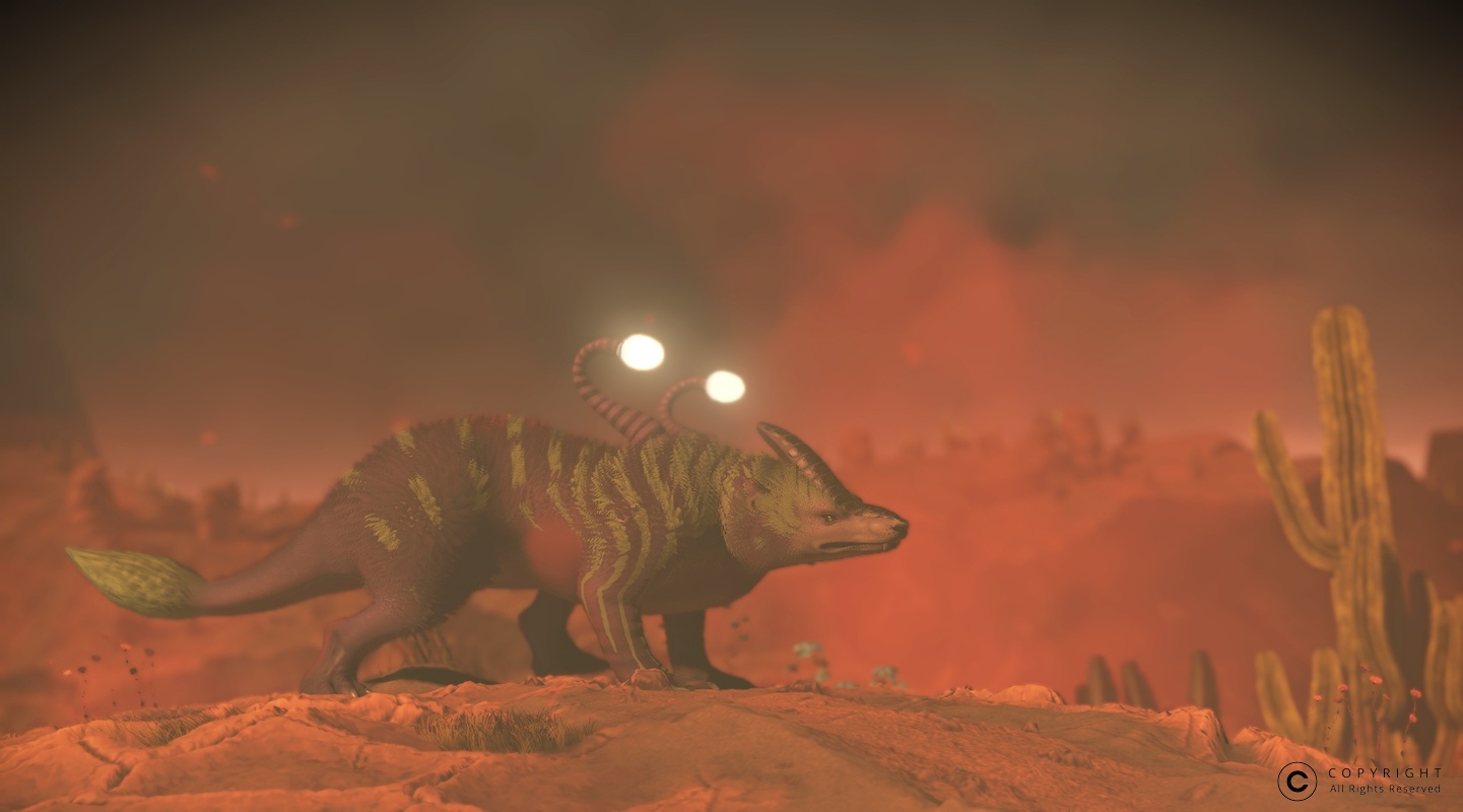 NMS Esaki 002