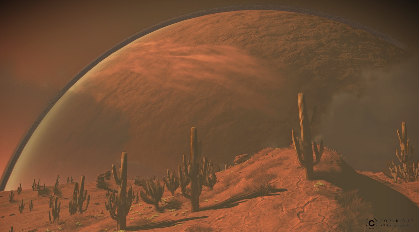 NMS Esaki 003