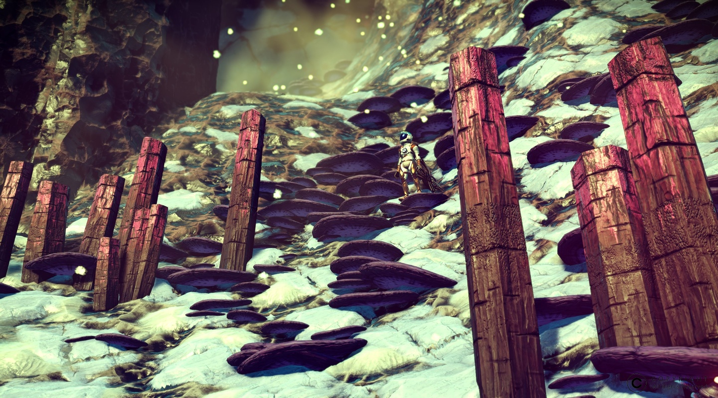 NMS Ewend-Omega 010