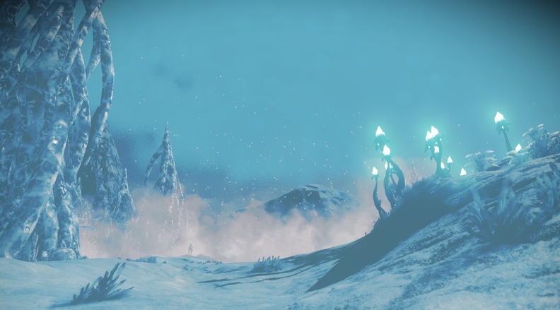 NMS_Ewend-Omega_014.jpg