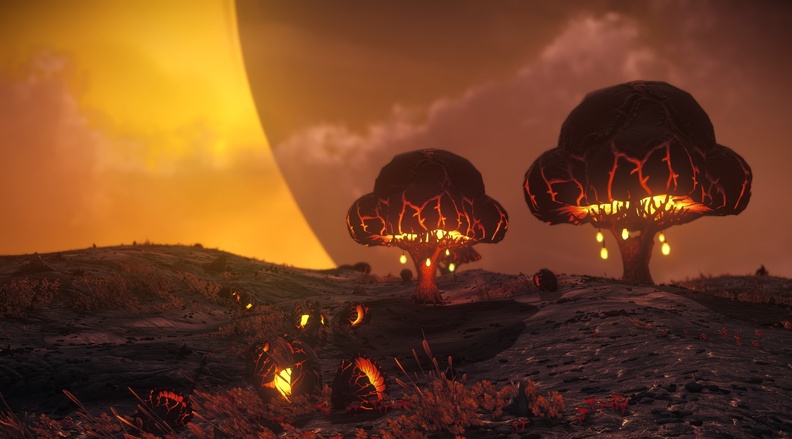 NMS_Gallet-Zent_0002.jpg