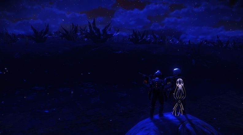 NMS_Hardson-N42_005.jpg
