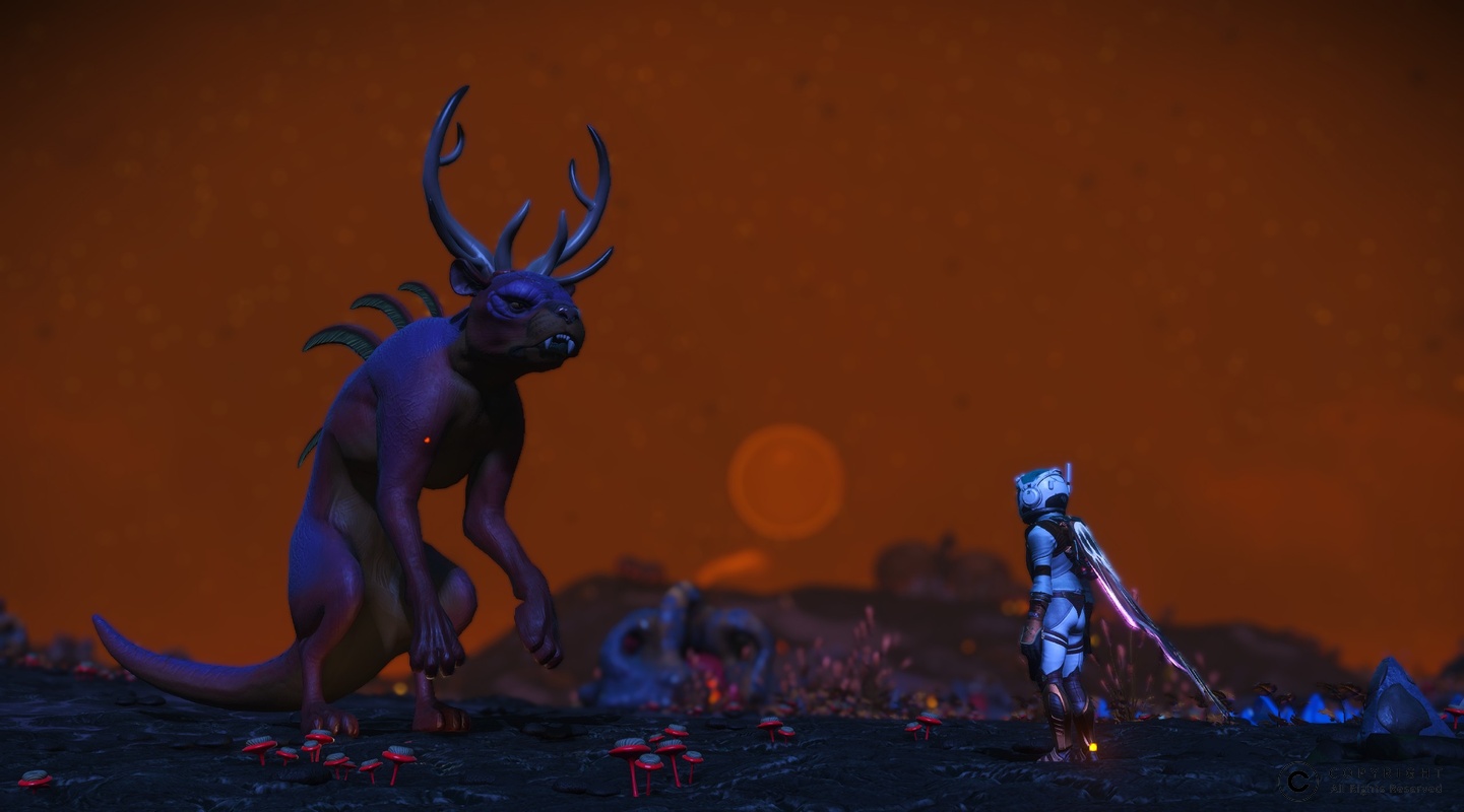 NMS Gallet-Zent 0008
