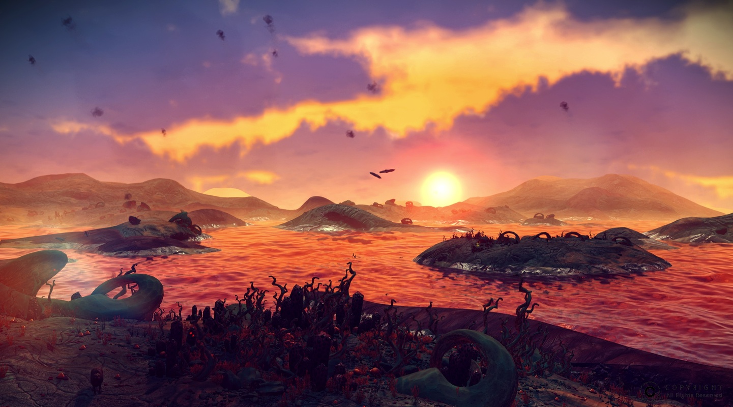 NMS Leeth 002