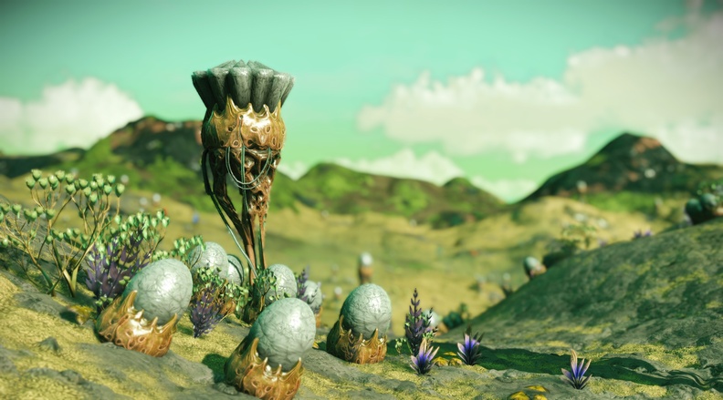 NMS_Neat-Gamma_0004.jpg
