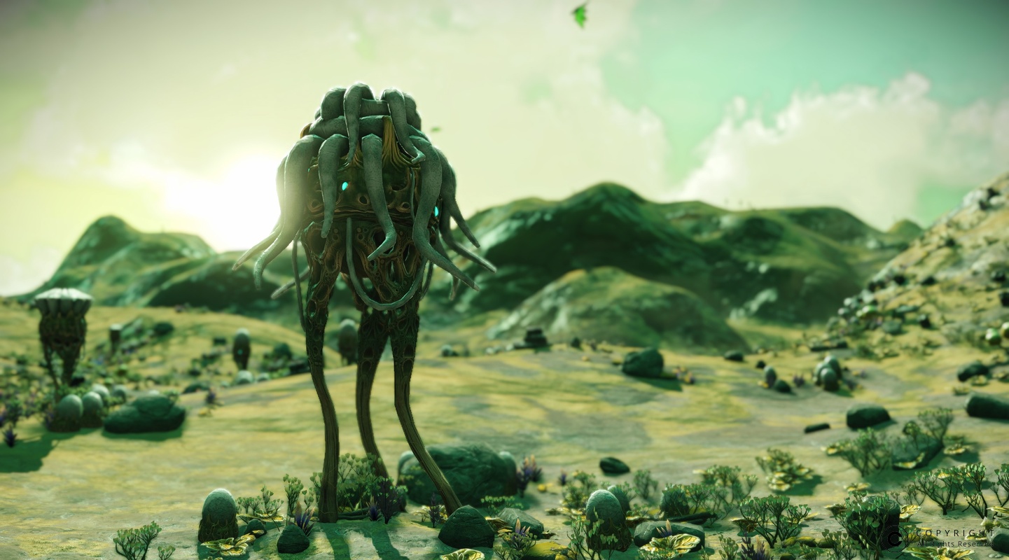 NMS Neat-Gamma 0009