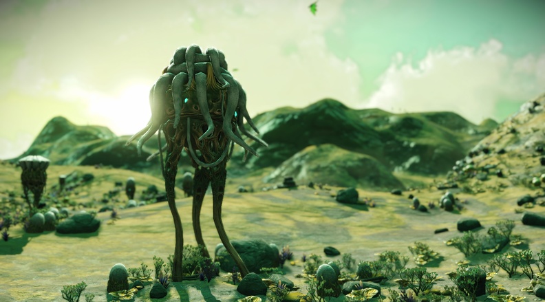 NMS_Neat-Gamma_0009.jpg