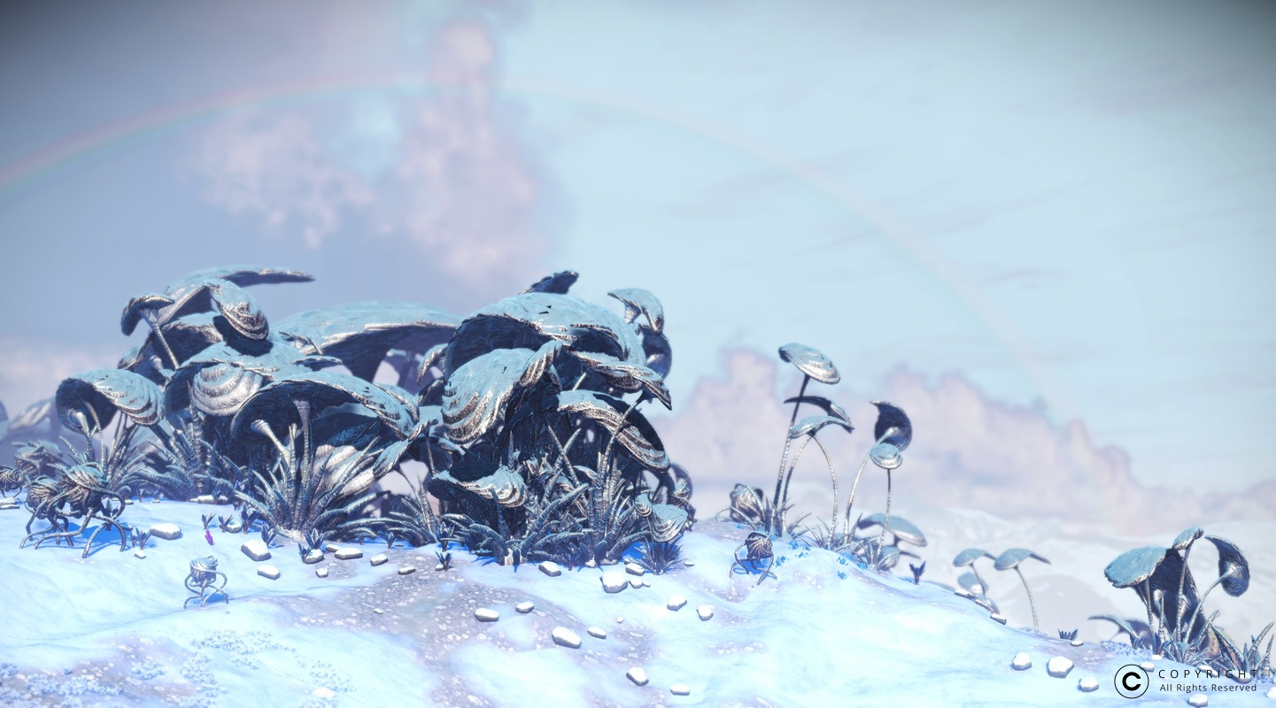 NMS Osse 004