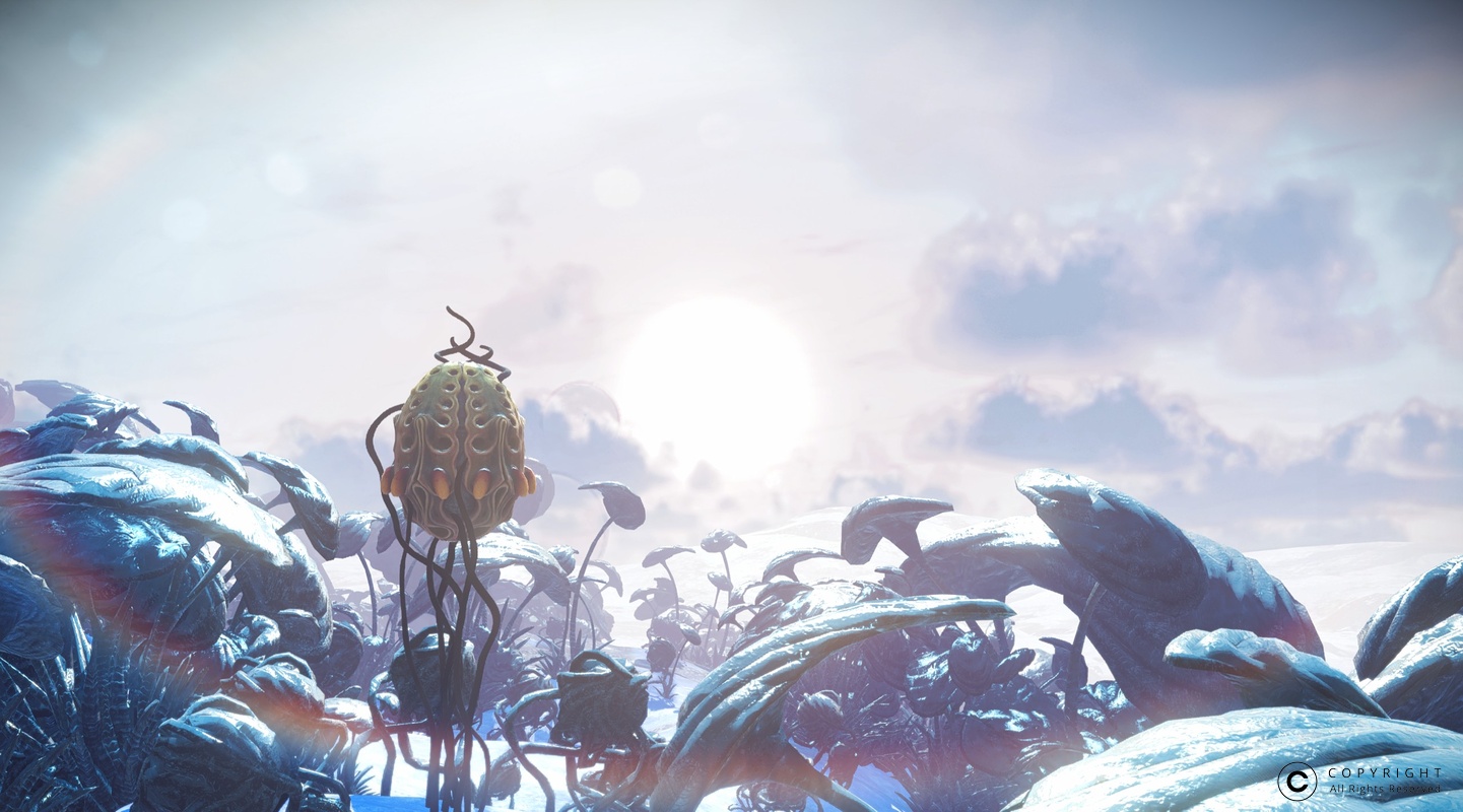 NMS Osse 005