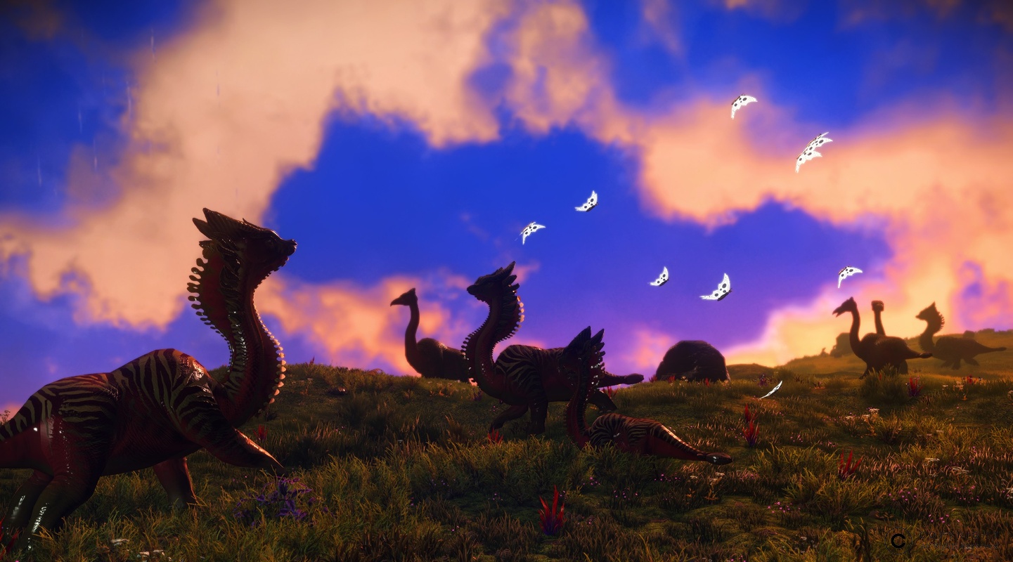 NMS Shmai 008