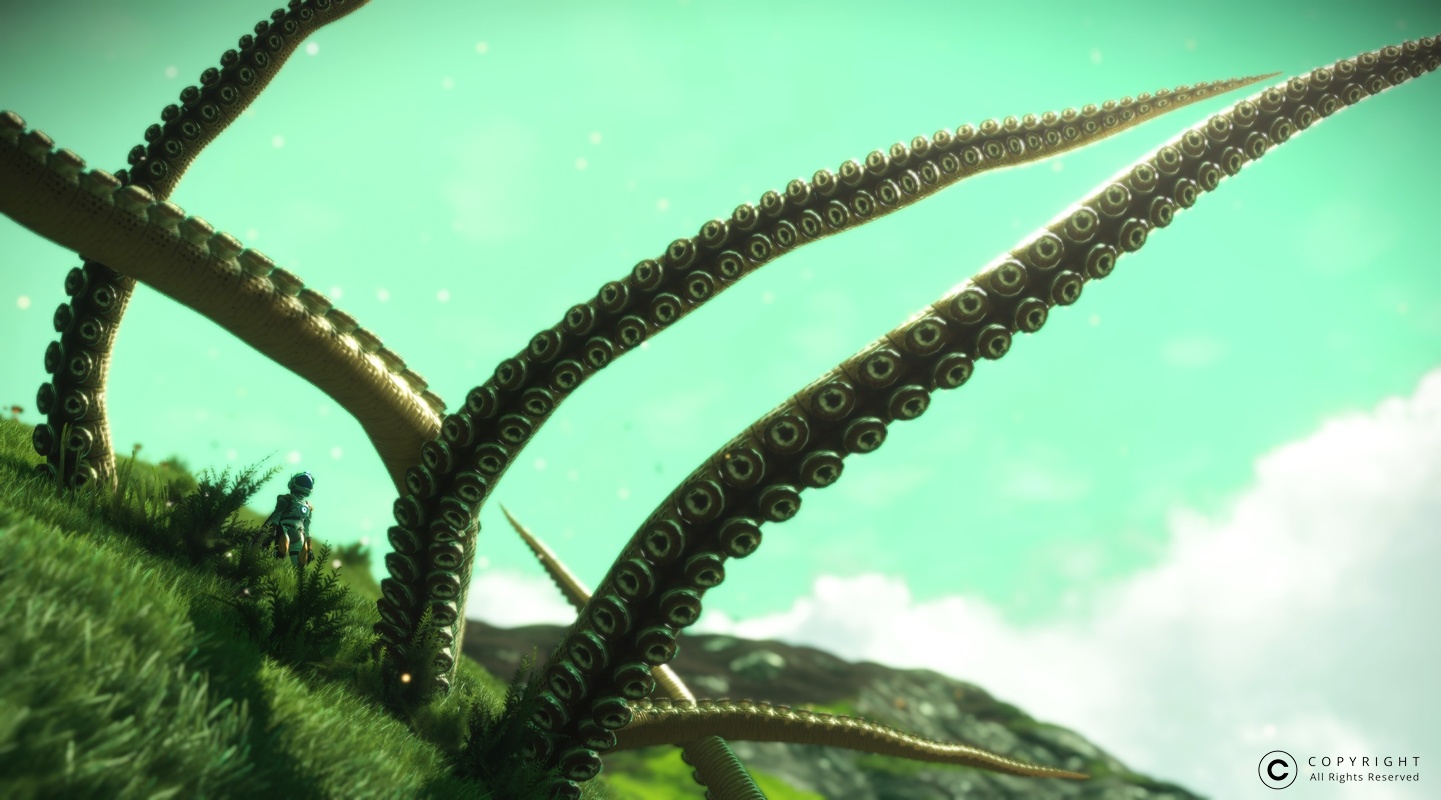 NMS Tagam 0005