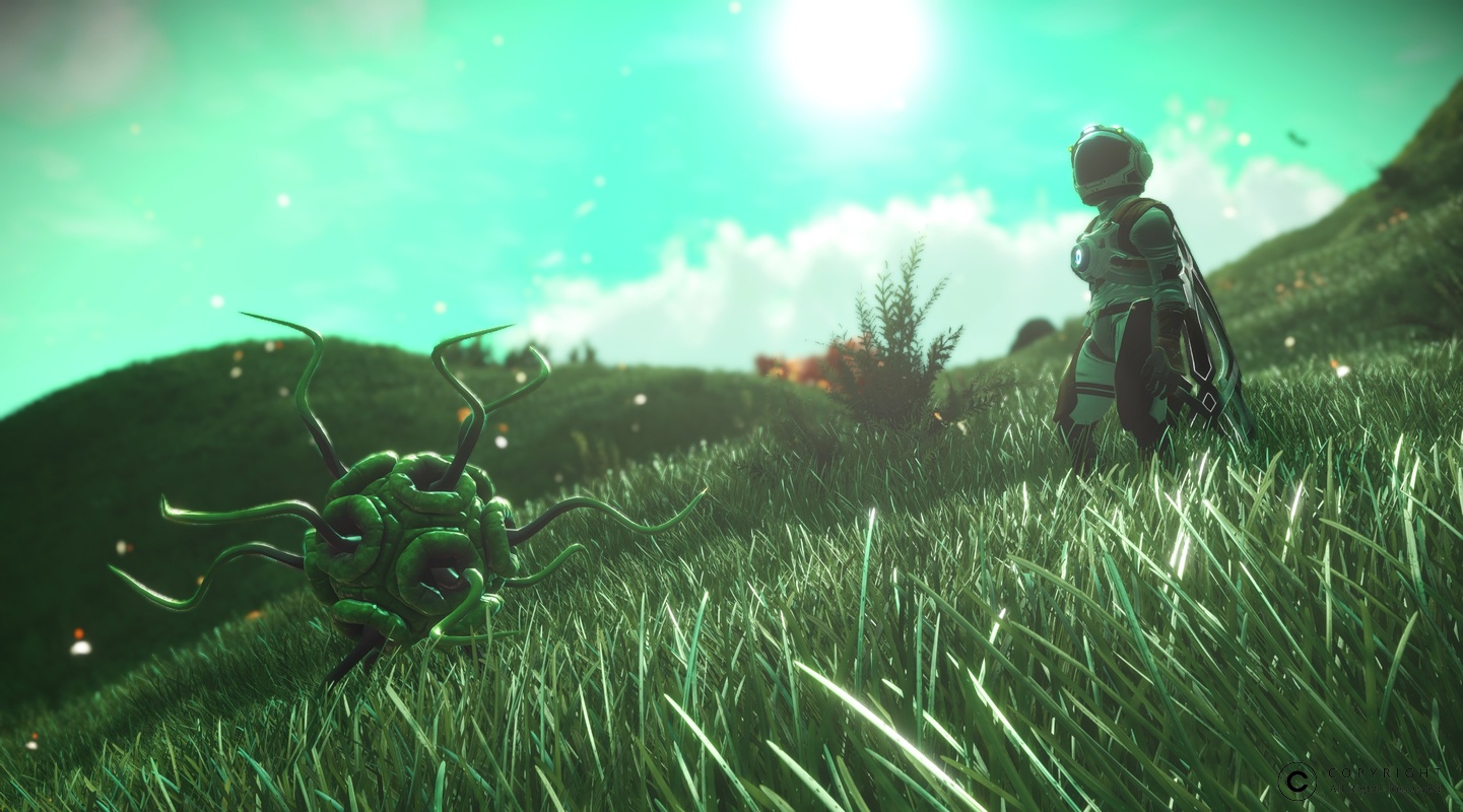 NMS Tagam 0008