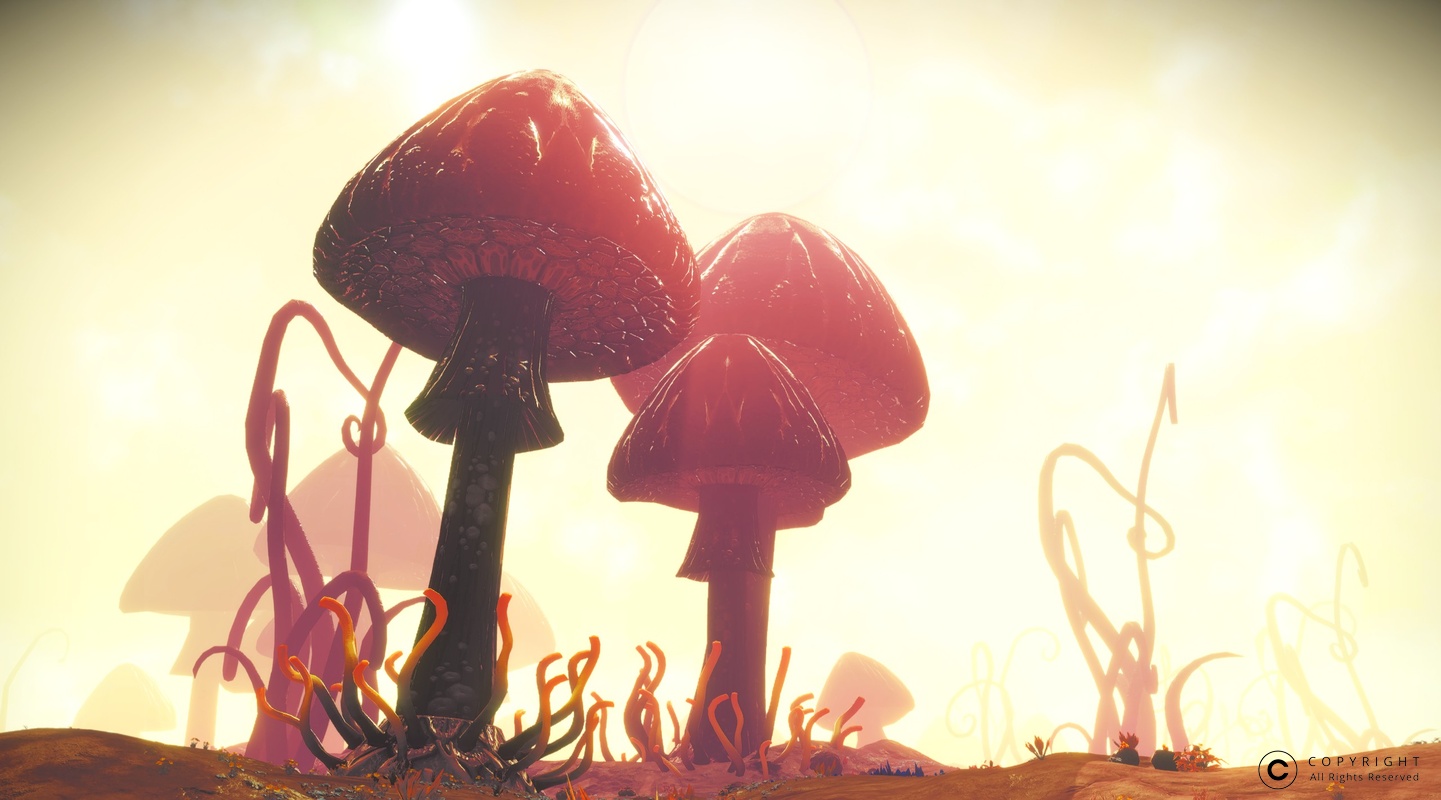 NMS Timind-Beta 006