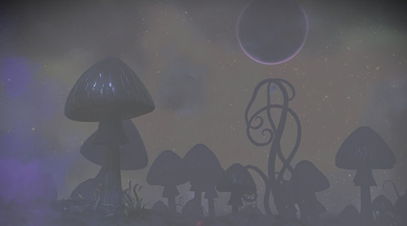 NMS_Timind-Beta_007.jpg