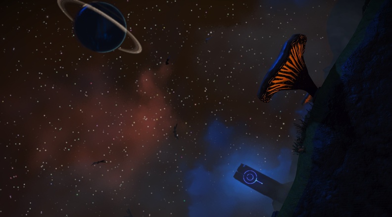 NMS_Wotone-Omega_004.jpg