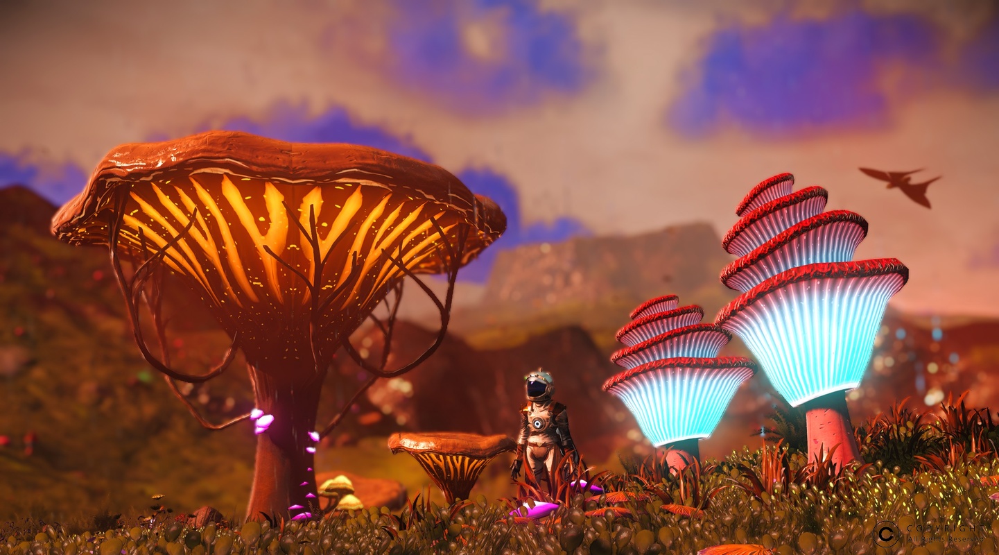 NMS Wotone-Omega 008
